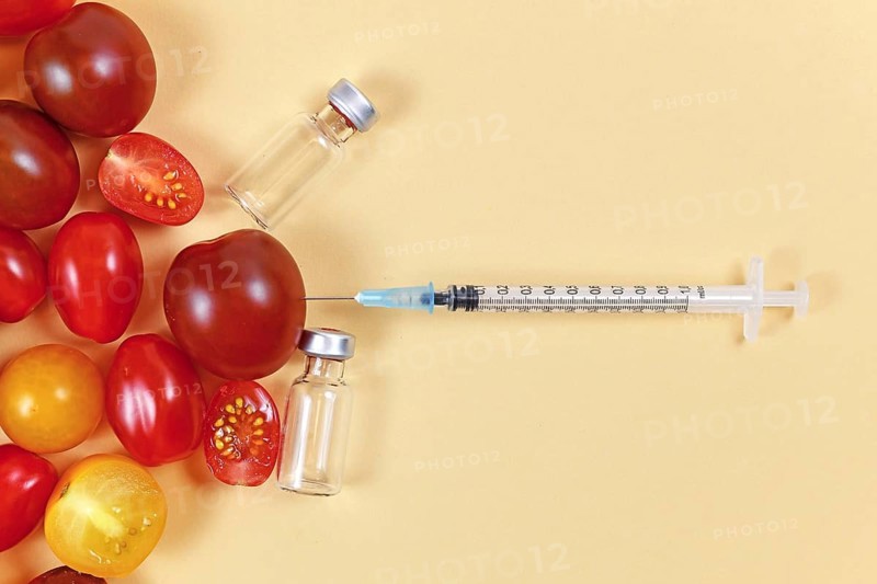 Concept for genetically modified food with tomatoes, injected syringe and empty medical vials on yellow background