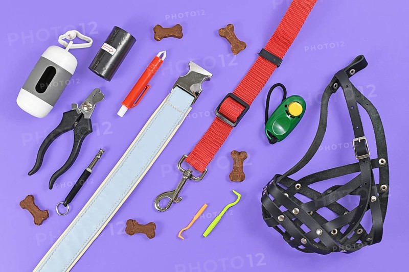 Flat lay of various dog supplies including leather mouth guard, nail clipper
