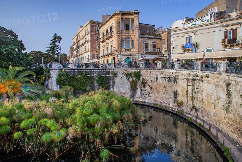 Fonte Aretusa spring with papyrus plants in front of the old town, Syracuse