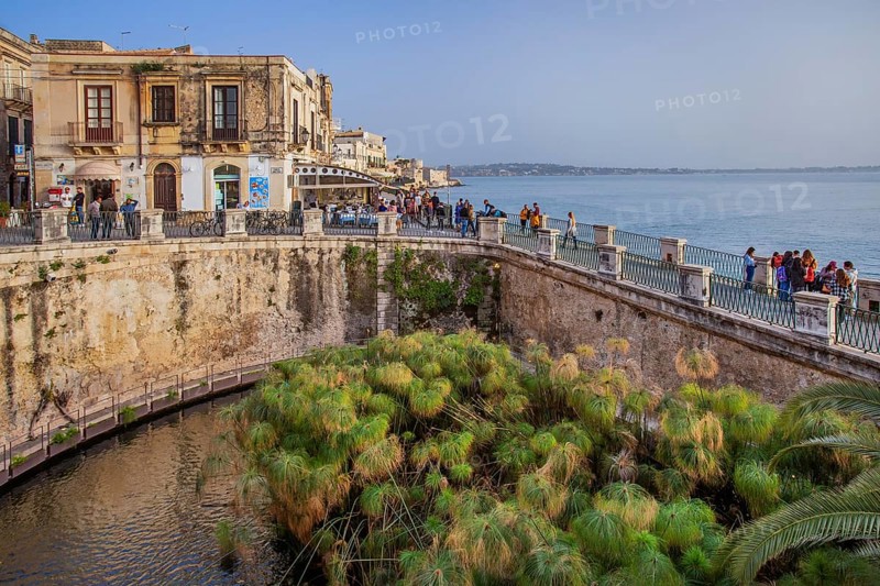Fonte Aretusa spring with papyrus plants in front of the old town, Syracuse