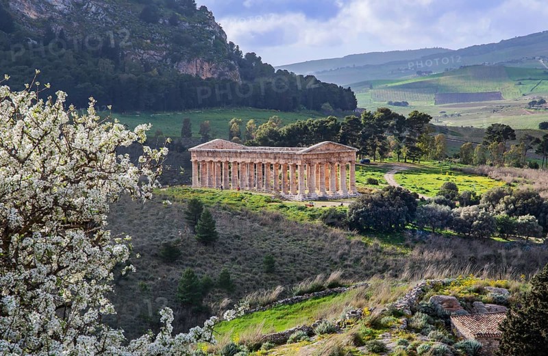 Spring landscape with the temple of Segesta, Calatafimi