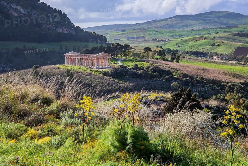 Spring landscape with the temple of Segesta, Calatafimi