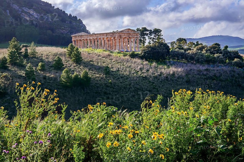 Spring landscape with the temple of Segesta, Calatafimi