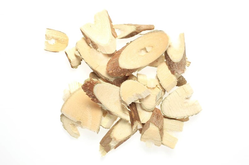 Cut twigs of the medicinal plant white mulberry,