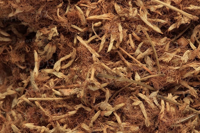 Dried blossoms of medicinal plant bastard tamarinds,
