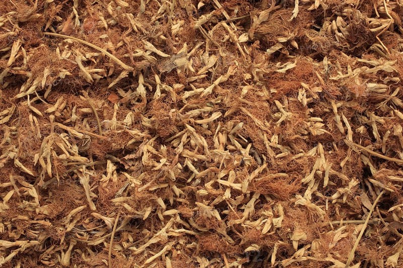 Dried blossoms of medicinal plant bastard tamarinds,
