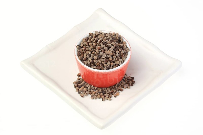 Medicinal plant Monk's pepper, Monk's pepper seeds