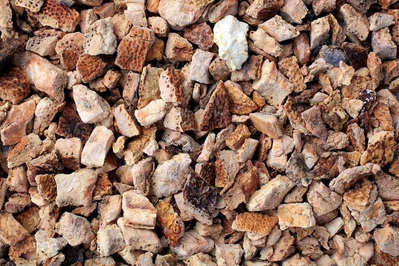 Dried orange,