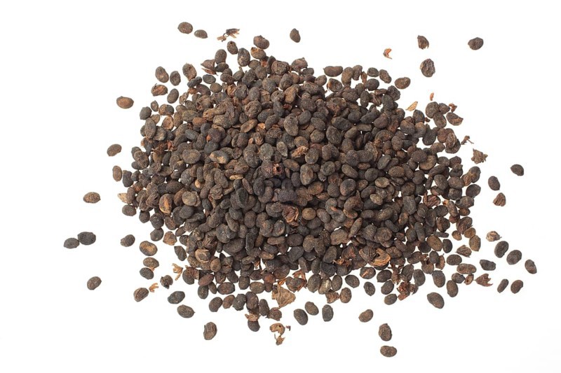 Medicinal plant Malay tea fruit, seed