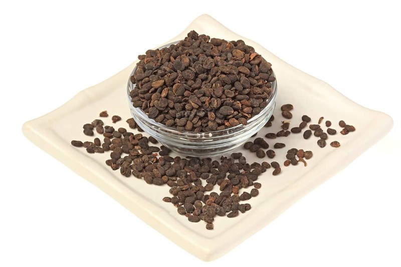 Medicinal plant Malay tea fruit, seed