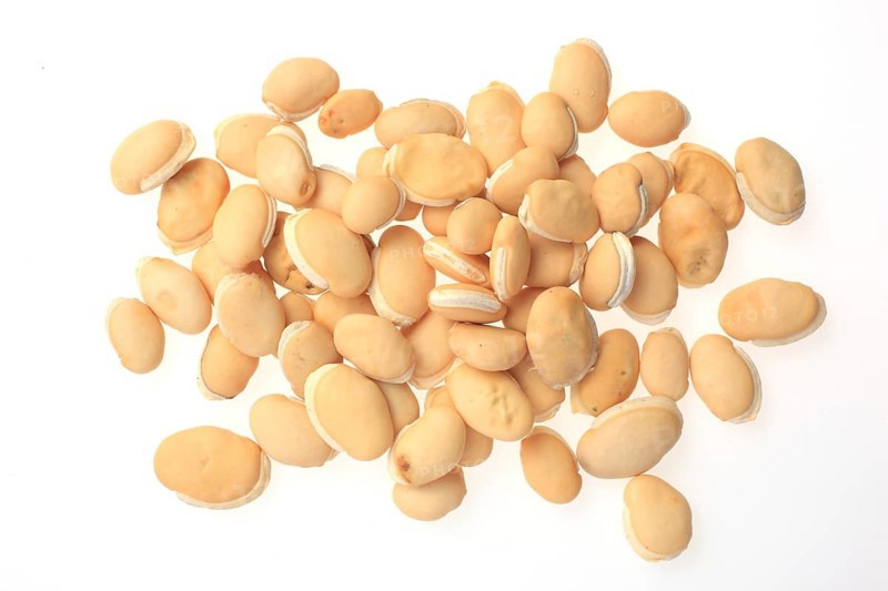 Medicinal plant climbing bean, helmet bean