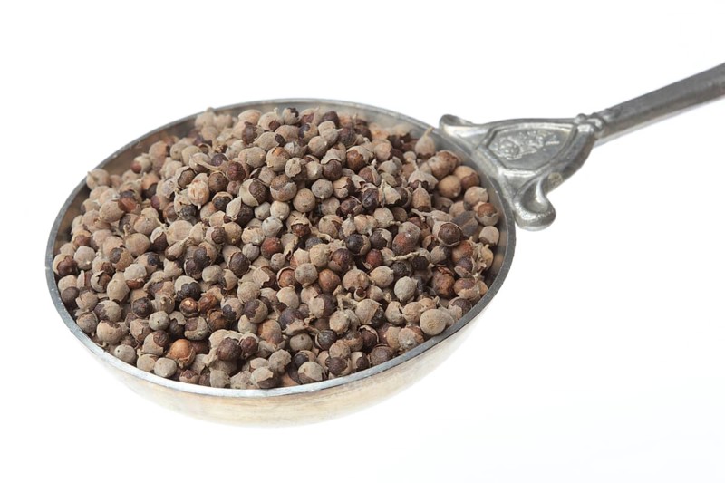 Medicinal plant Monk's pepper, Monk's pepper seeds