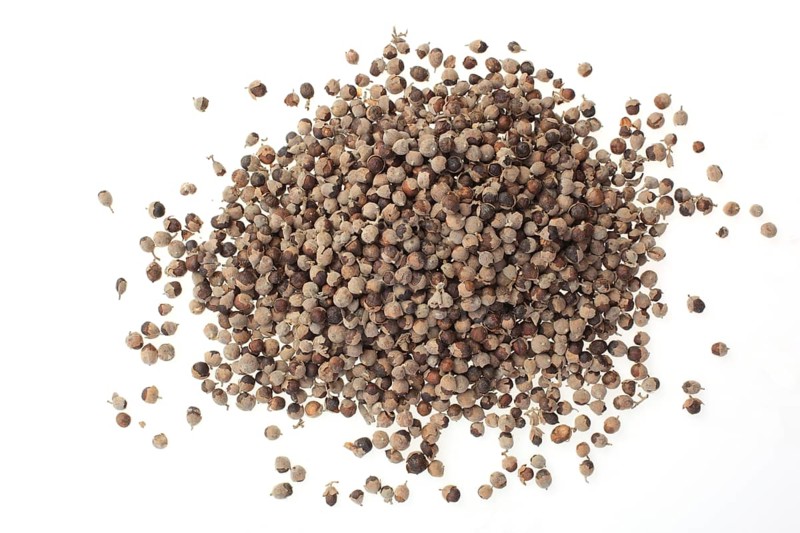 Medicinal plant Monk's pepper, Monk's pepper seeds