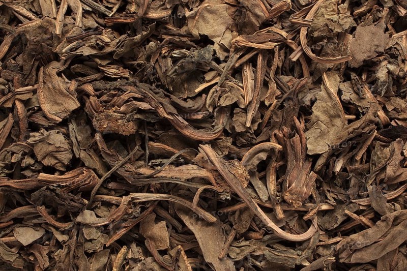 Dried leaves of the medicinal plant Chameleon plant, variegated leaf