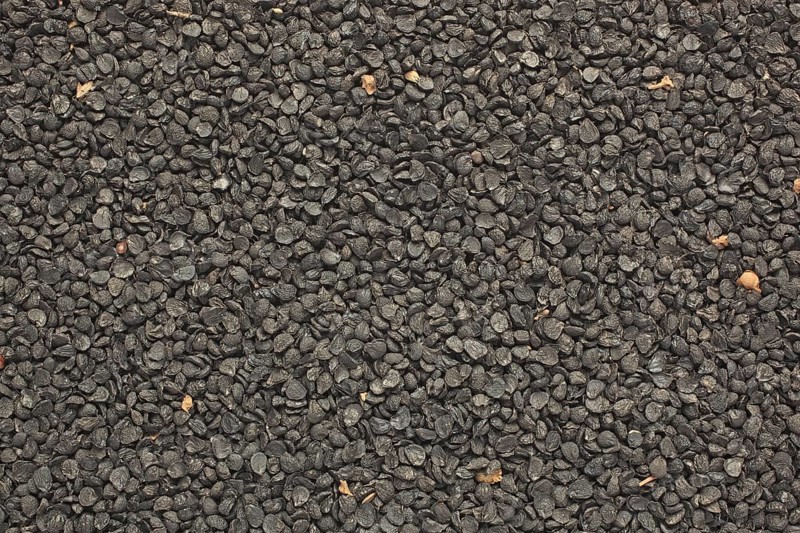 Garlic seeds, used as a kitchen spice and in natural medicine semen