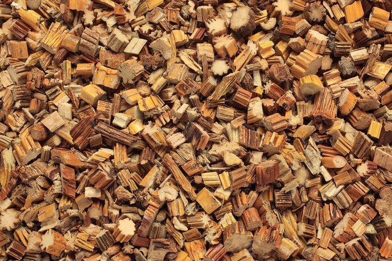 Dried herb of the medicinal plant Knotenstaendelkraut, Dendrobium nobile