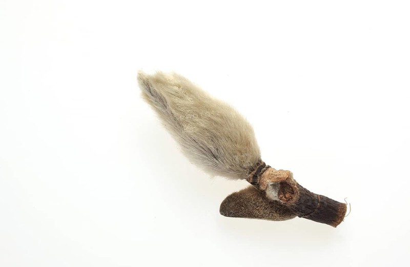Naturopathy: dried magnolia flowers, Magnolia liliflora