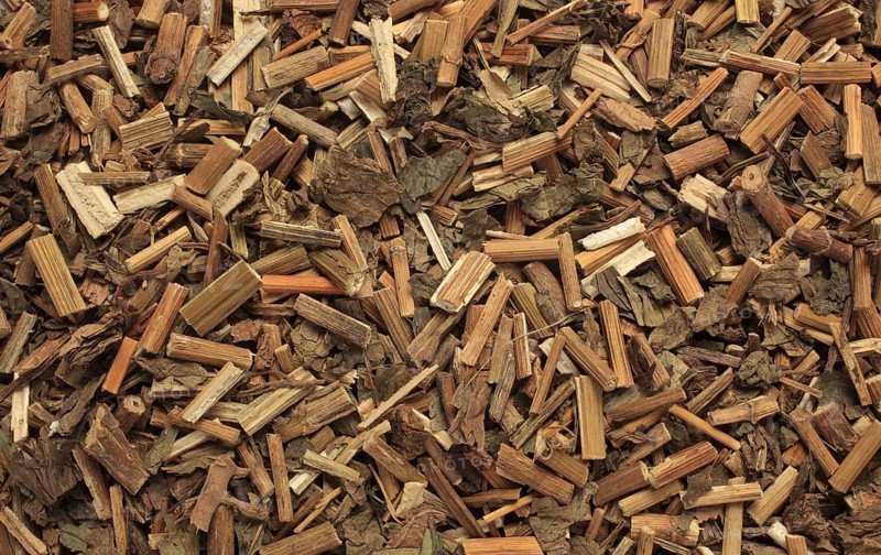 Dried herb of the medicinal plant Fortune boneset,