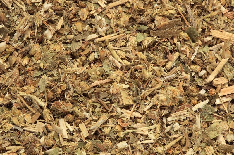 Dried herb of medicinal plant european goldenrod,