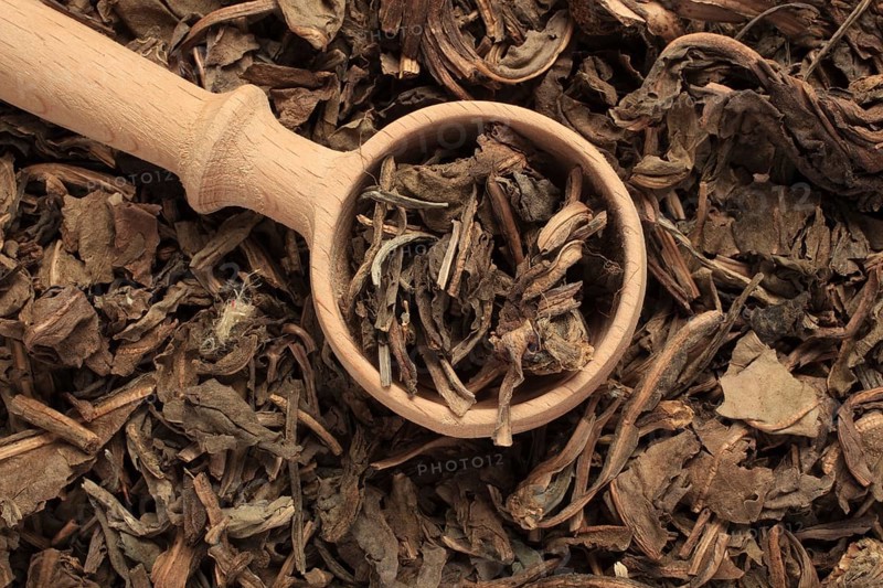Dried herb of the medicinal plant blue dew or dyer's weed, Isatis tinctoria