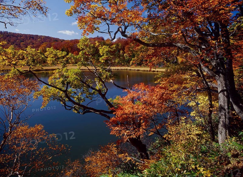 Autumn atmosphere at the lake, Towada Lake Towadako Aomori Prefecture Japan