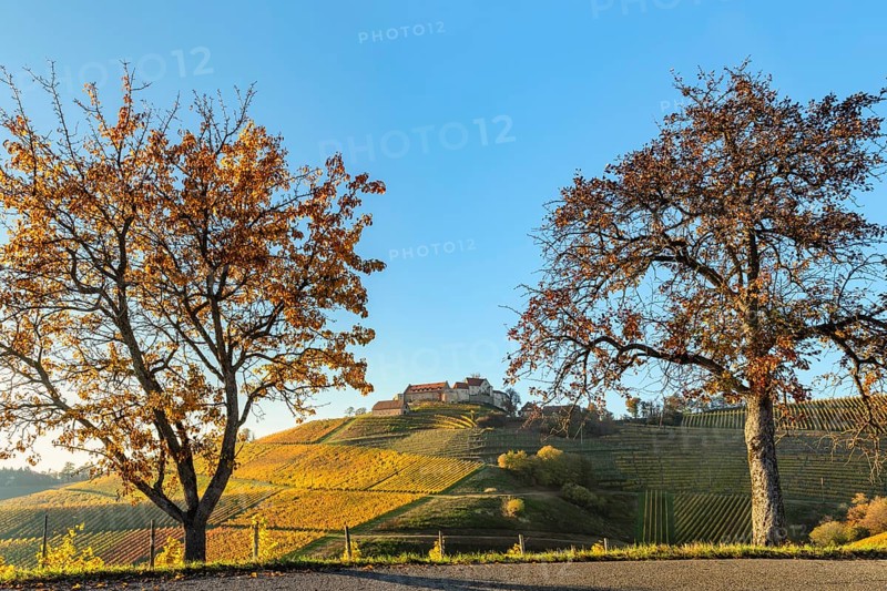 Staufenberg Castle, Durbach