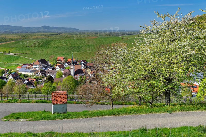 Ebringen, Markgraefler Land