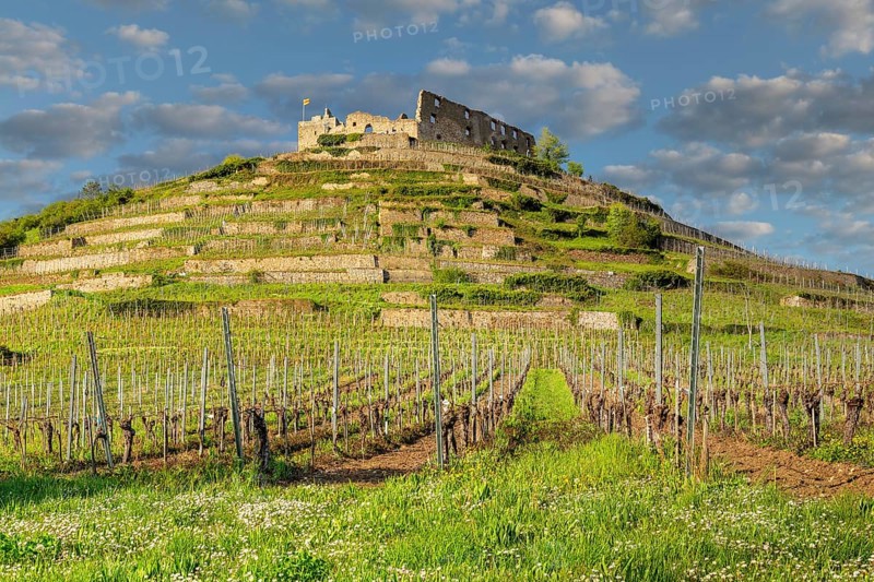Staufen Castle, Staufen im Breisgau