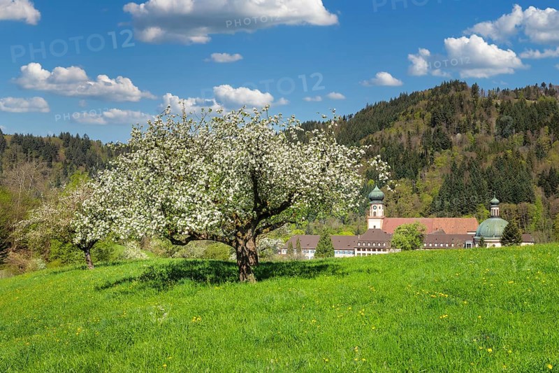 Sankt Trudpert Monastery, Muenstertal