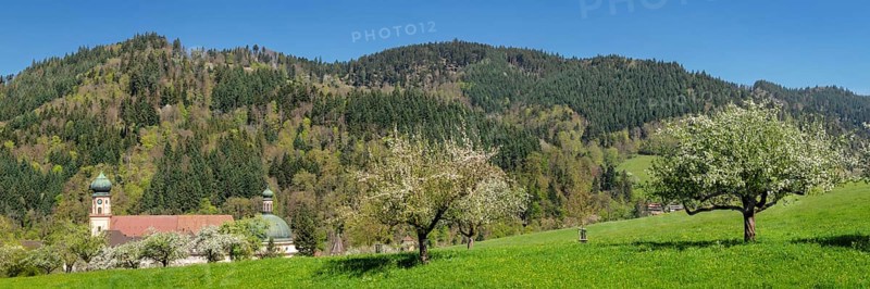 Sankt Trudpert Monastery, Muenstertal