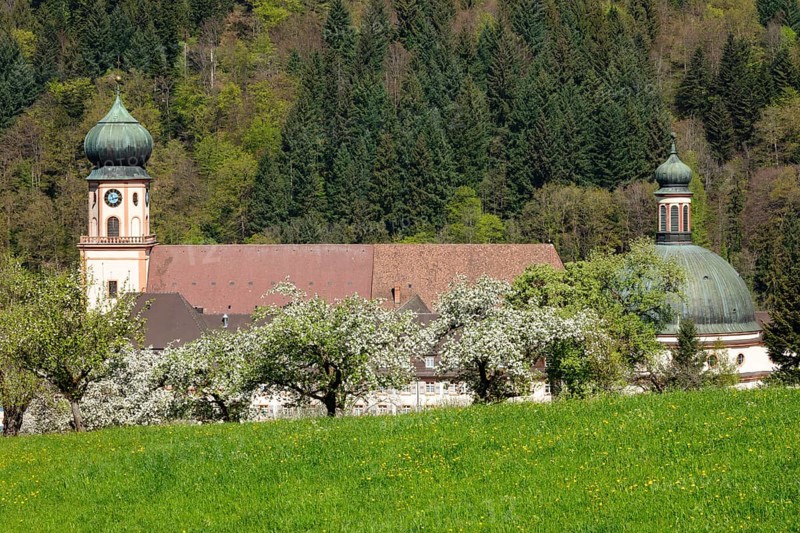 Sankt Trudpert Monastery, Muenstertal