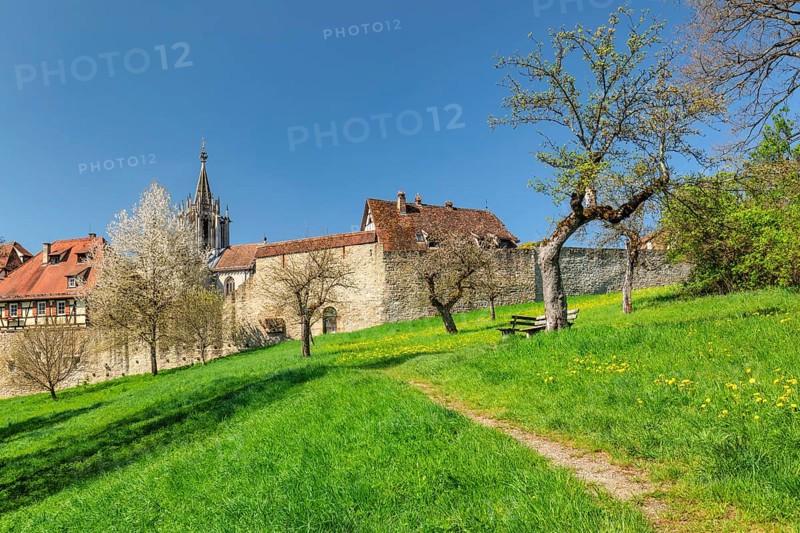Bebenhausen Monastery near Tuebingen, Schoenbuch nature Park