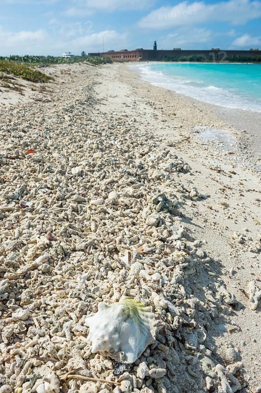 White sand beach with Fort Jefferson in the background, Dry Tortugas National Park