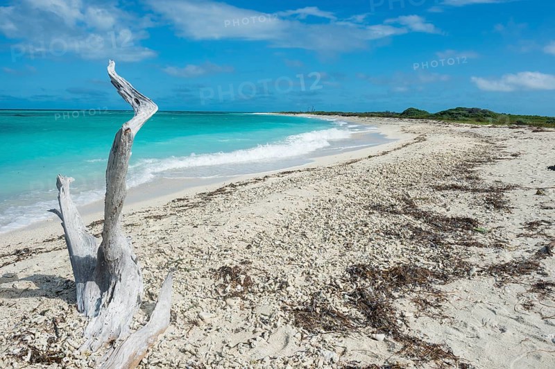 White sand beach in turquoise waters, Dry Tortugas National Park