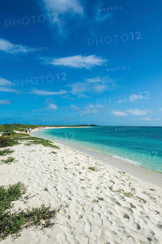 White sand beach in turquoise waters, Dry Tortugas National Park