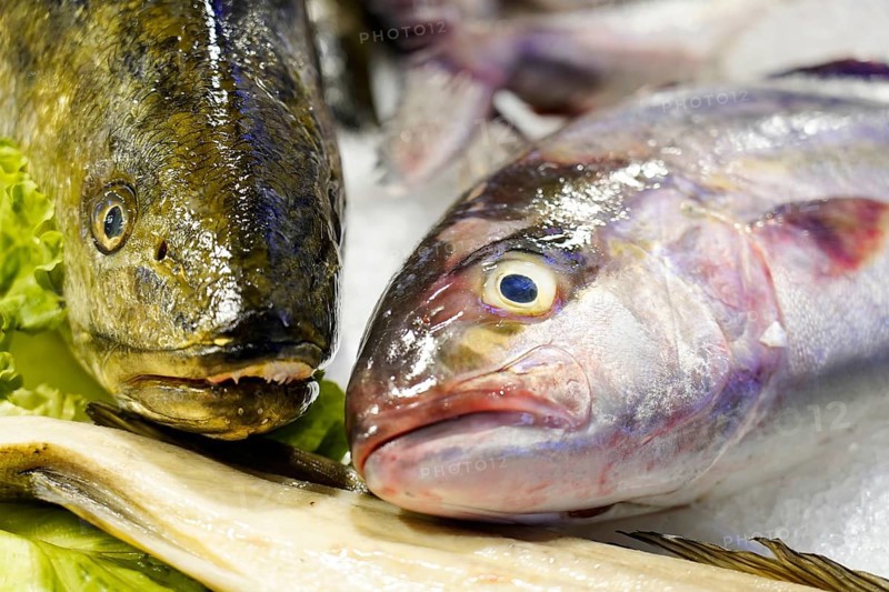 Fish, Rialto Market