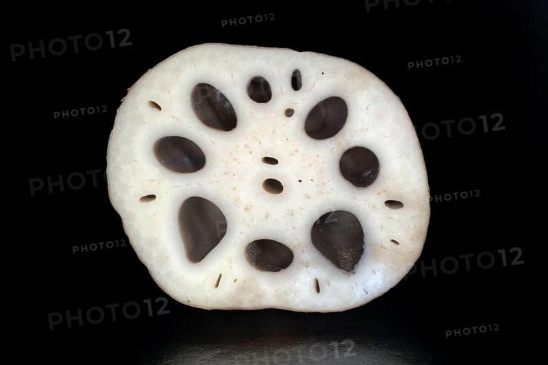 Sliced lotus root, food photography with black background