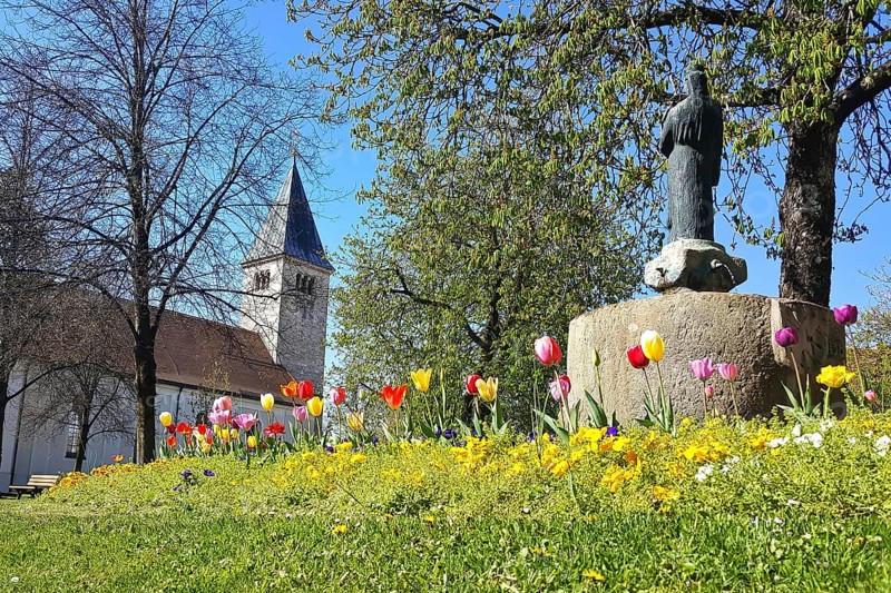 St. Michael's Church and the war memorial in the centre of Peiting. Tulips in the foreground. Bavaria, Germany