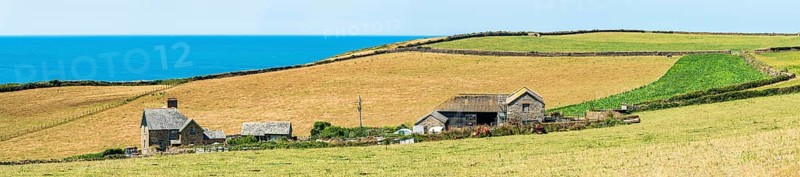 Farm on headland, Baggy Point