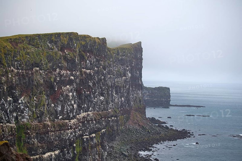 Large bird cliffs, Latrabjarg