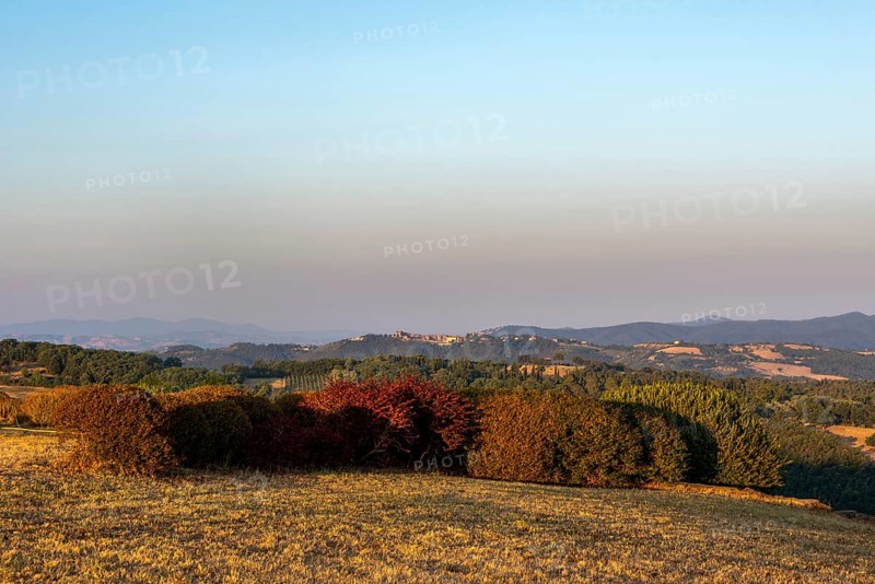 View of the Maremma, sunrise