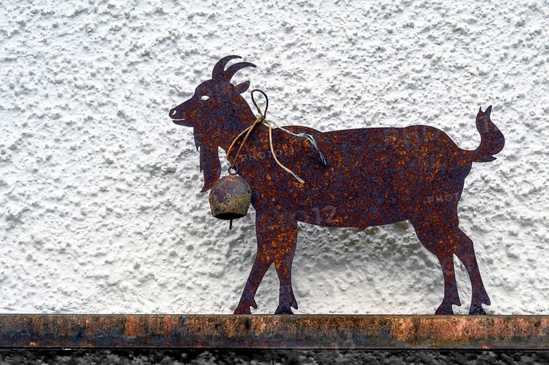 Iron rusty goat in front of house wall, Hindelang