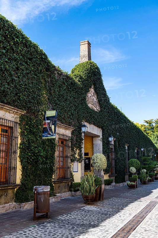 Tequila destillery, Unesco site Tequila