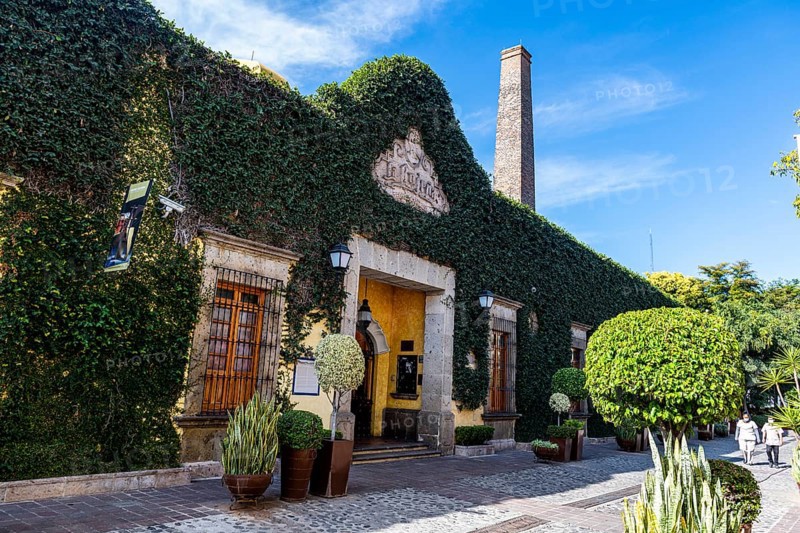 Tequila destillery, Unesco site Tequila