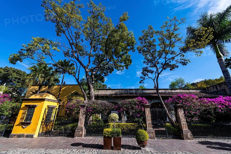 Tequila destillery, Unesco site Tequila