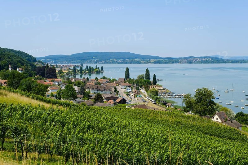 View from Arenenberg to Mannenbach, Salenburg