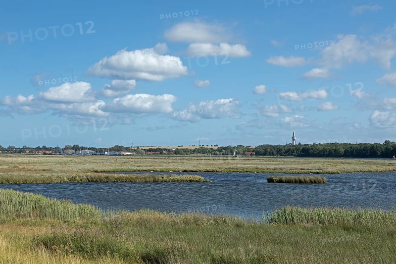 Biotope, Graswarder peninsula