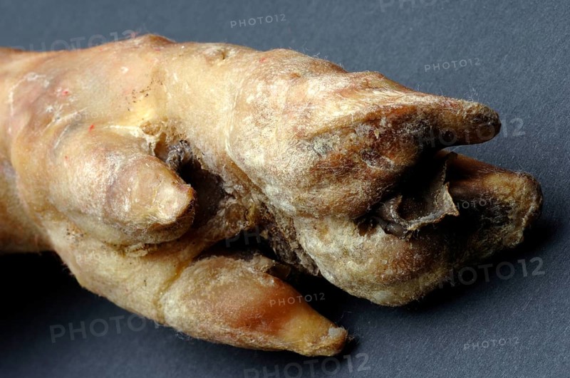 Pork leg of pork, Pork