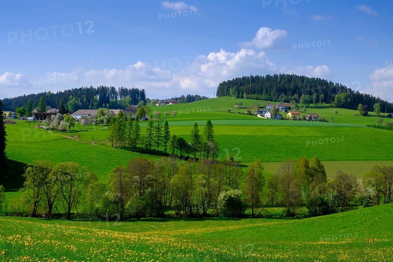 Hilly landscape Obergeng near Eidenberg, Muehlviertel region