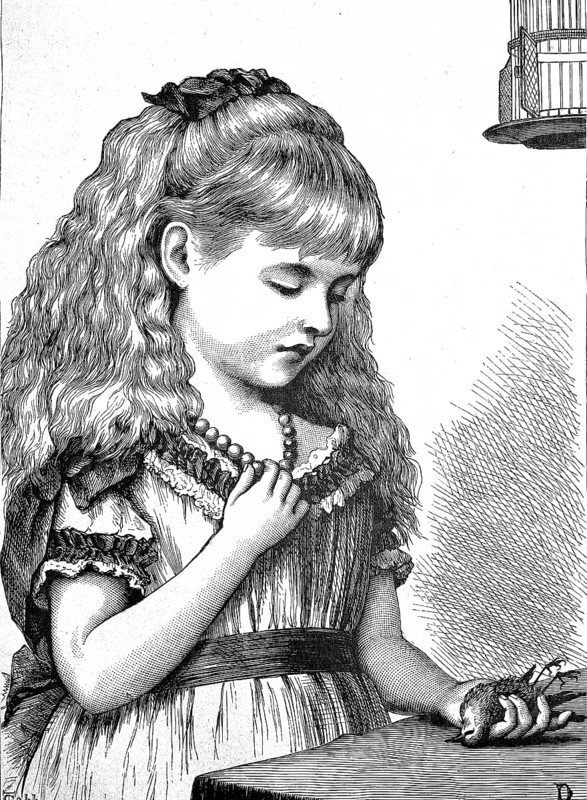 In deep distress, girl holding her little bird which she found dead in its cage